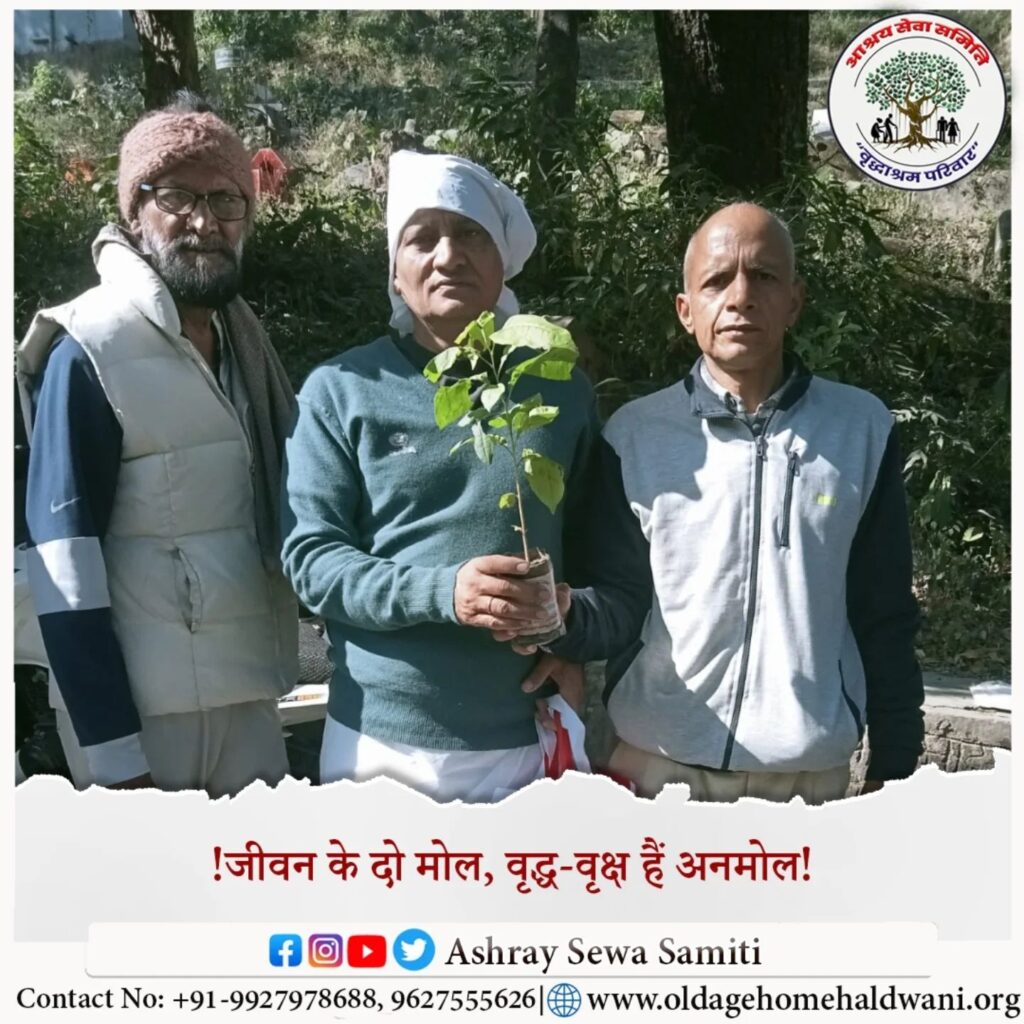 Instagram post from ashraysewasamiti. This post is in position 13.